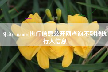 克孜勒苏执行信息公开网查询不到被执行人信息