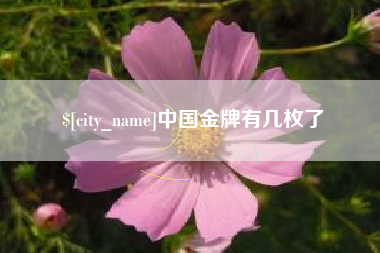 克孜勒苏中国金牌有几枚了