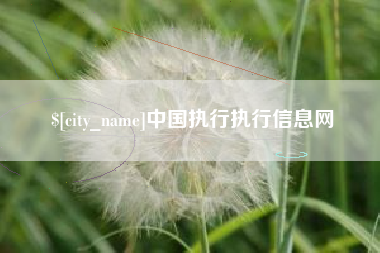 克孜勒苏中国执行执行信息网