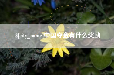 克孜勒苏中国夺金有什么奖励