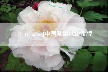 克孜勒苏中国队第八块金牌