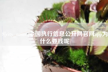 克孜勒苏中国执行信息公开网官网app为什么要钱呢