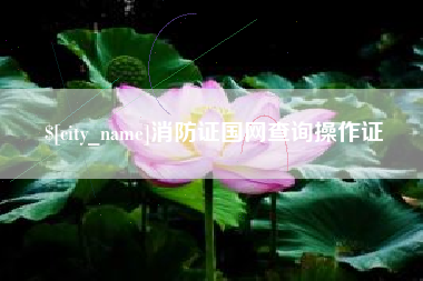 克孜勒苏消防证国网查询操作证