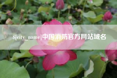 克孜勒苏中国消防官方网站域名