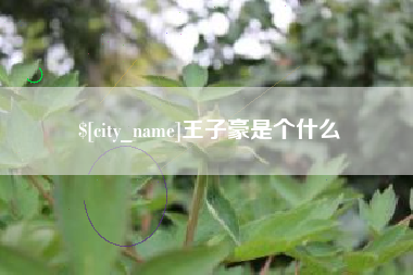 克孜勒苏王子豪是个什么