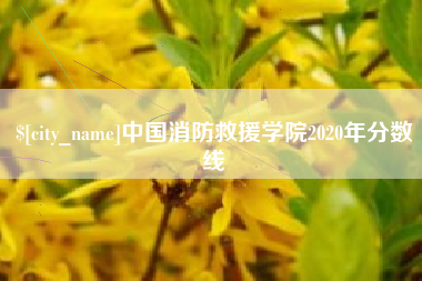 克孜勒苏中国消防救援学院2020年分数线