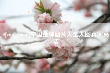 克孜勒苏中国金牌图片大全大图真实高清