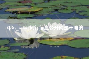 克孜勒苏执行信息公开网是干嘛的