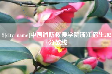 克孜勒苏中国消防救援学院浙江招生2020分数线
