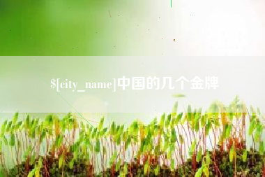 克孜勒苏中国的几个金牌