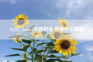 克孜勒苏中国的金牌是什么样的
