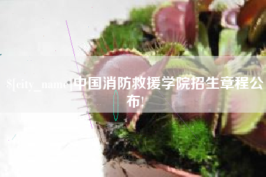 克孜勒苏中国消防救援学院招生章程公布!