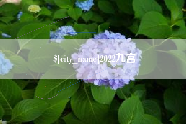 克孜勒苏2022九宫