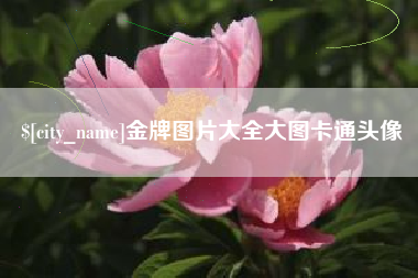 克孜勒苏金牌图片大全大图卡通头像