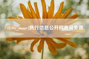 克孜勒苏执行信息公开网查询免费